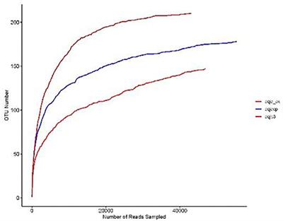 Analysis of Bacterial Diversity in Different Types of Daqu and Fermented Grains From Danquan Distillery